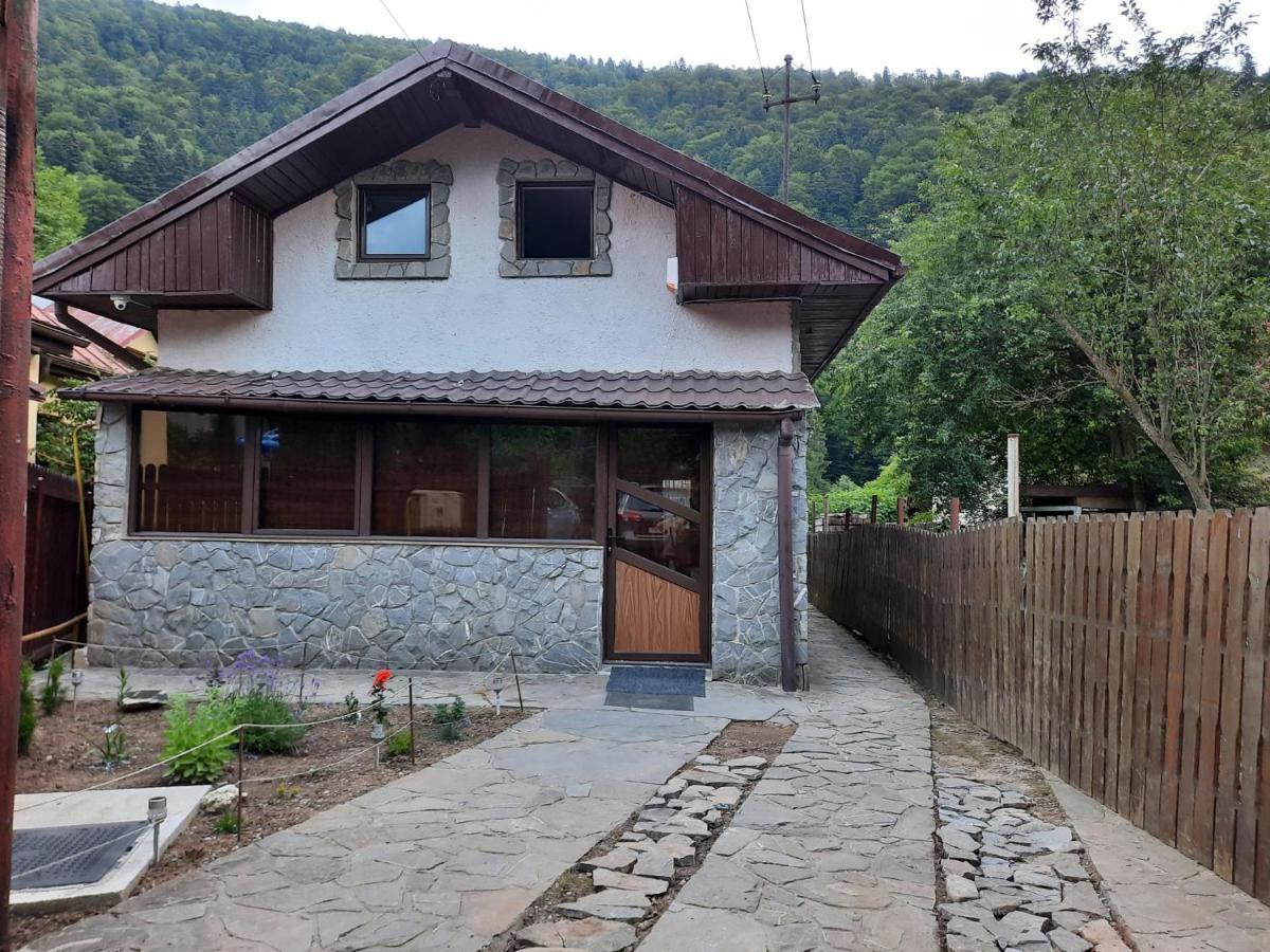 Willa Casa Crissio Sinaia Zewnętrze zdjęcie